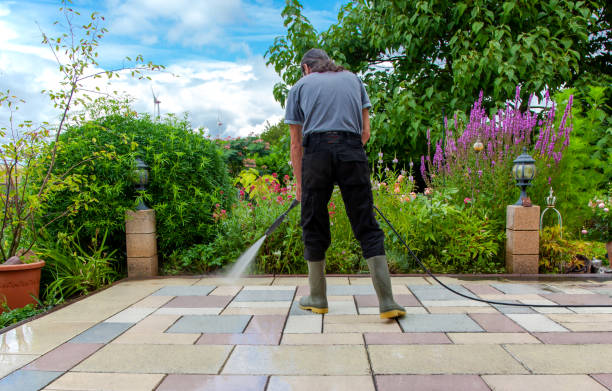 Best Animal Enclosure Cleaning  in Wd, AR